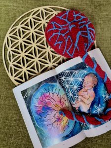 Le Placenta délivré